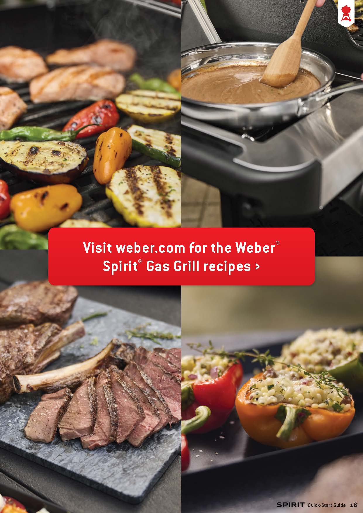 WeberSpirit_QuickStartGuide_Final - Page 1_Page_16.jpg